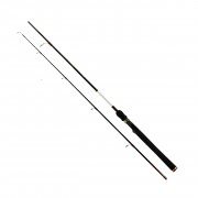 Fujion Spinning Rod