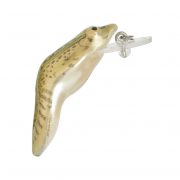 Pradco - Rebel - Teeny-Wee Frog Main