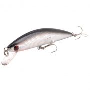 Seahawk - Stardust 120 - STD Main