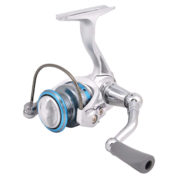Seahawk - Midget - MT Main